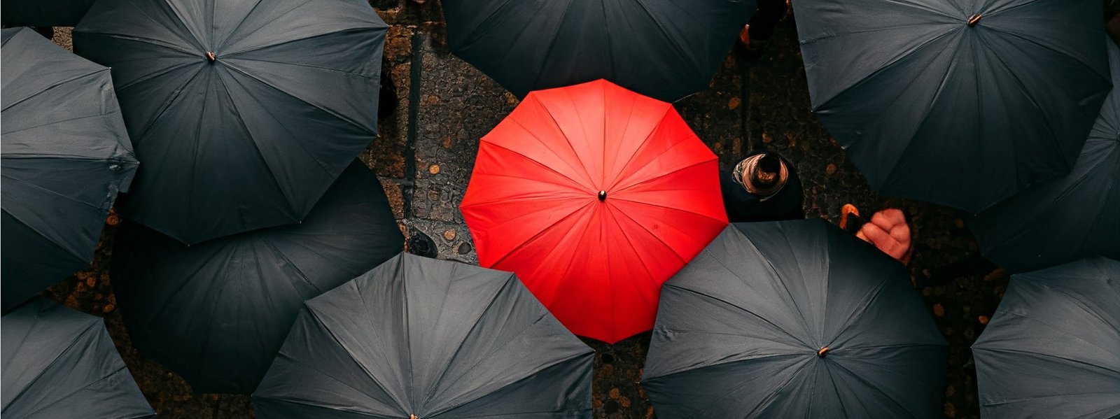 Everyone is Not Your Customer: A Case Study of Brandy Melville